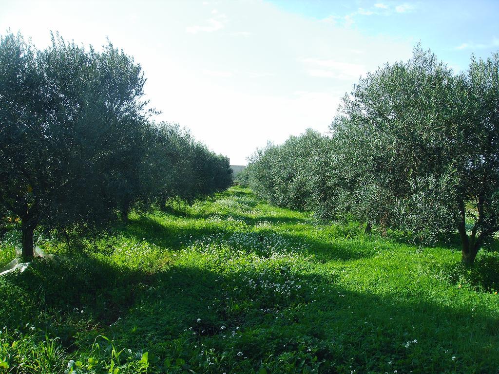 Pensjonat Casale Stagnone Marsala Zewnętrze zdjęcie